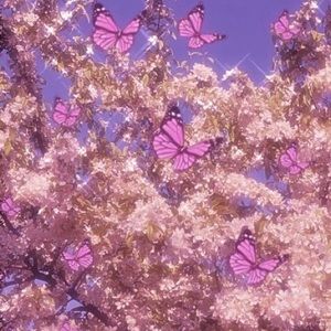 Meet your Posher, Paige